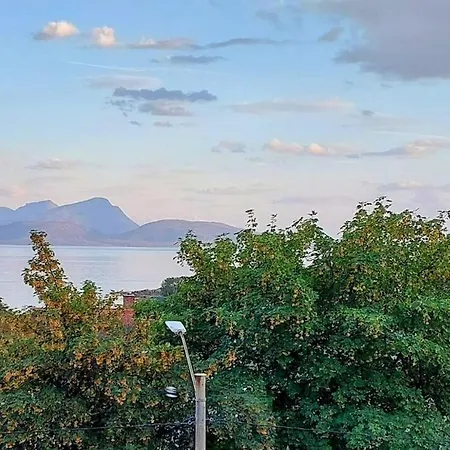 The Perfect Stop - Northern Halo