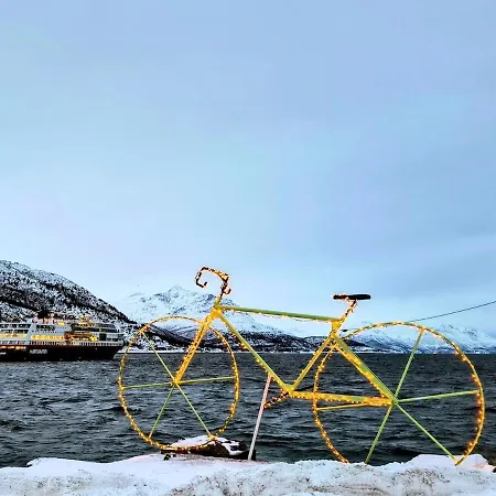 The Perfect Stop - Northern Halo