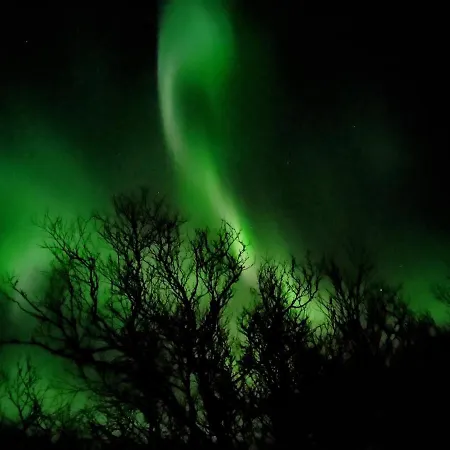 The Perfect Stop - Northern Halo *