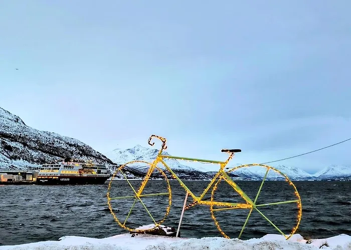 The Perfect Stop - Northern Halo