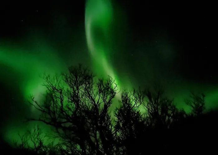 The Perfect Stop - Northern Halo *